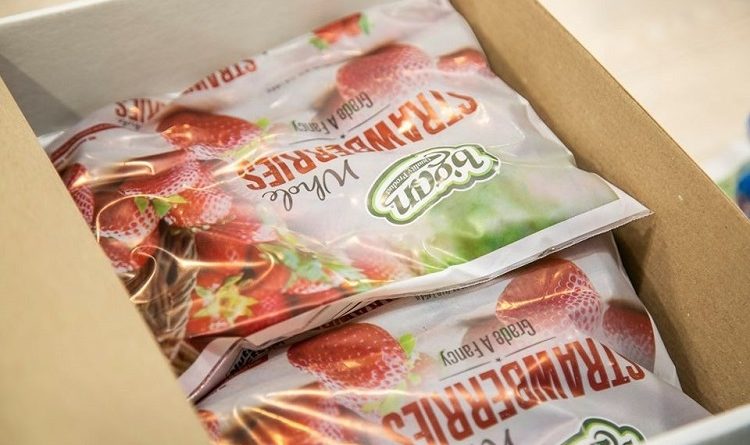 Грузинские замороженные ягоды впервые экспортировали в США - Netgazeti