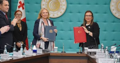 Турция и Грузия углубят экономическое сотрудничество через Евросоюз  - Netgazeti
