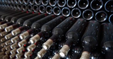 За 11 месяцев 2019 года экспорт грузинского вина вырос на 11%   - Netgazeti