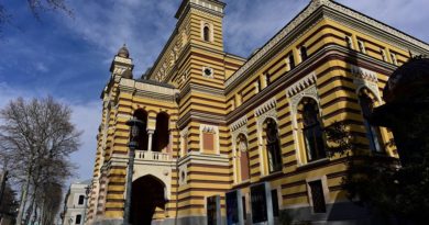 В Тбилисском театре оперы и балета вновь проводят реставрационные работы   - Netgazeti