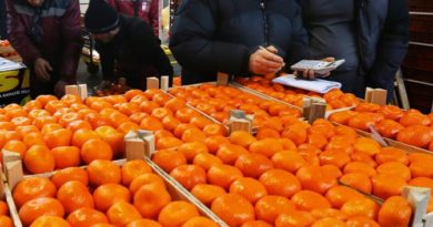 В Аджарии ждут урожай цитрусов в 55 тысяч тонн   - Netgazeti