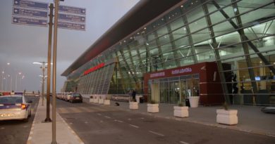 В аэропортах Грузии в январе снизился пассажиропоток - Netgazeti