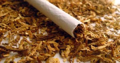 В Тбилиси изъяли более 200 килограмм безакцизного табака - Netgazeti