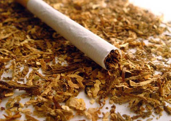 В Тбилиси изъяли более 200 килограмм безакцизного табака - Netgazeti