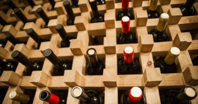 Специалисты проверили качество экспортируемых грузинских вин - Netgazeti