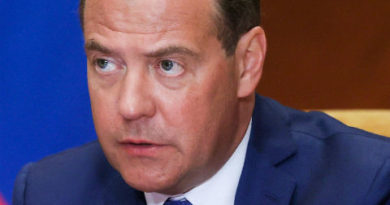 Дмитрий Медведев: «Особых успехов в бизнесе у сына пока не видел»
