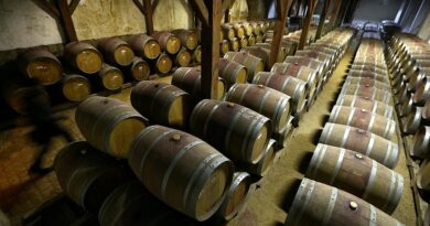 Грузинские янтарные вина включены в специальный список OIV