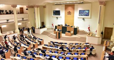 Каким будет однопартийный парламент Грузии?