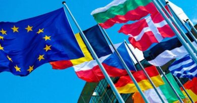 Грузия, Украина и еще пять стран присоединились к санкциям ЕС за кибератаку на Бундестаг