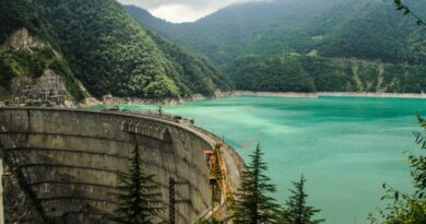 Ремонт Ингурской ГЭС начнется 15-20 января
