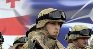 «Европейская правда»: Грузия может получить План действий по членству в НАТО