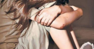 Статья об изнасиловании: парламент Грузии призывали внести поправку в УК