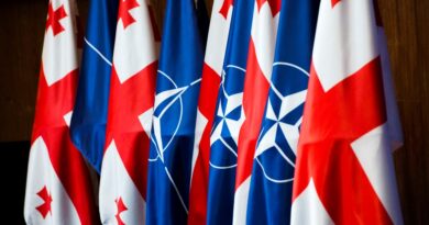 ГРУЗИЯ – НАТО: от Партнерства к Членству