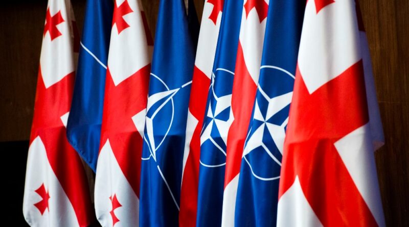ГРУЗИЯ – НАТО: от Партнерства к Членству