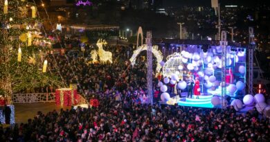 Мэрия Тбилиси планирует потратить на новогодний концерт 491,000 лари