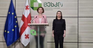 Пресс-спикер ЦИК Грузии покинула должность