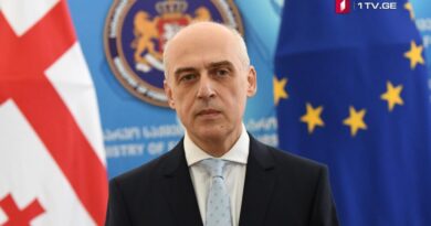 Глава МИД: Россия увеличила попытки с целью исключения вопроса по Грузии из международной повестки дня