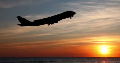 В Грузии с февраля могут возобновиться регулярные авиарейсы