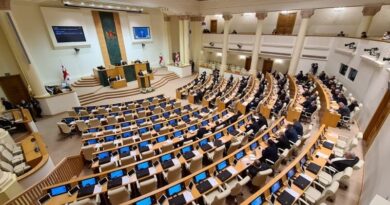 Парламент Грузии принял закон «Об амнистии»