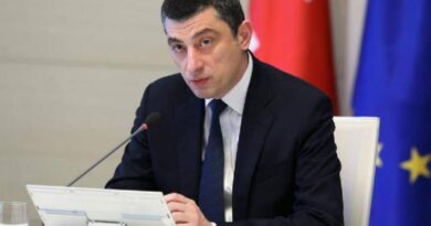 Премьер-министр Грузии высказался по летнему туристическому сезону