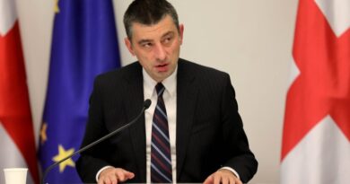 Премьер Грузии анонсировал создание нового министерства
