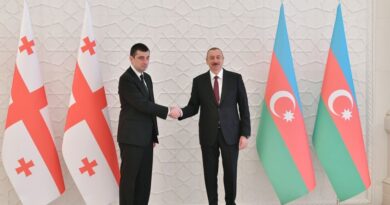 Азербайджан и Грузия расширяют торгово-экономическое сотрудничество