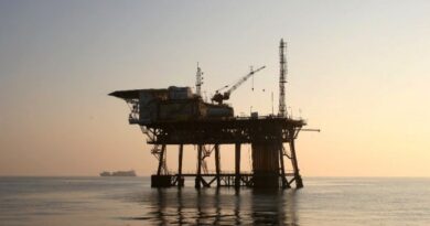 Австрийская компания займется поиском нефти и газа у берегов Грузии