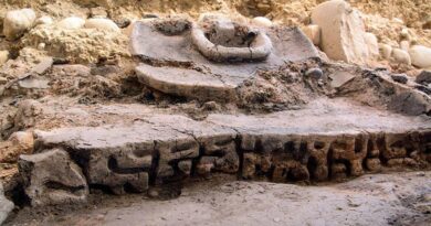 Грузинская письменность самая древняя на Земле