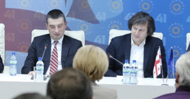 Кобахидзе: мы не услышали от Гахария аргументов, которые могли бы укрепить его позицию