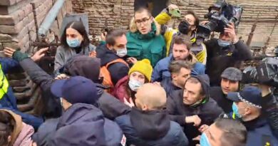 На акции у здания МИД Грузии произошло столкновение между полицией и протестующими
