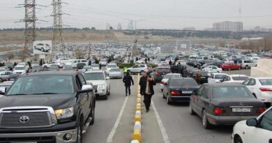 В Грузии срок растаможки автомобилей продлен до 1 июня