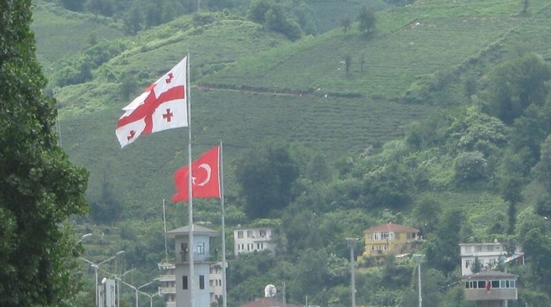 Приезжающим из Турции в Грузию достаточно представить отрицательный результат ПЦР-теста