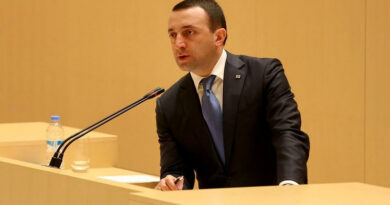 Гарибашвили обещает «очень скоро восстановить порядок»