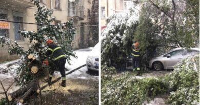 В Грузии снегопад вызвал повреждение 26 автомобилей