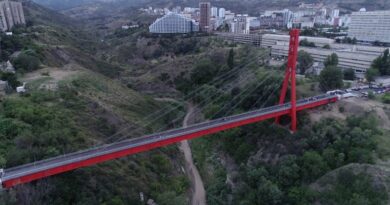 Мэр Тбилиси анонсировал строительство нового моста