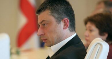 Премьер Грузии прокомментировал привлечение школьников к чистке туалетов мэрии