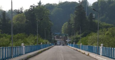 Теа Ахвледиани: Ингурский мост открыт, срок карантина 5 дней
