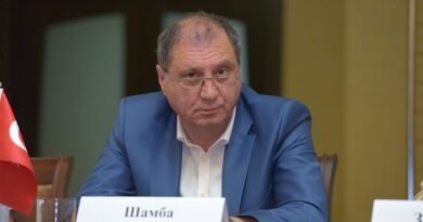 Сергей Шамба рассказал о характере переговоров с грузинскими политиками