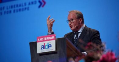 Президент ALDE призывает освободить Нику Мелия