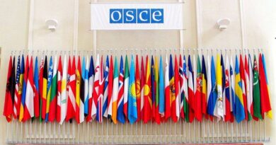Кара Макдональд: призываем правительство Грузии выполнить рекомендации ОБСЕ