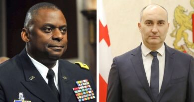 Пентагон выразил готовность помочь Грузии в укреплении обороноспособности