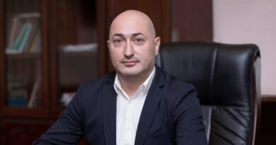 Гурам Гурамишвили назначен заместителем министра экономики и устойчивого развития Грузии