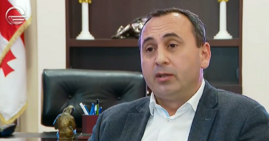 Чубинидзе подтвердил, что ходил домой к «угрожавшим» в соцсетях сыну Иванишвили