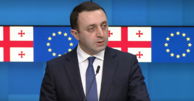 Премьер Грузии: «Досрочных выборов в стране не будет. Мы закончили разговор об этом».