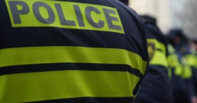 Полиция задержала четвертого участника инцидента в горийском офисе ЕНД