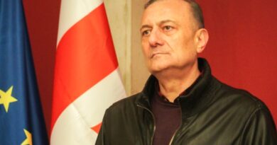 Нателашвили покинул встречу оппозиции с представителем ЕС в знак протеста