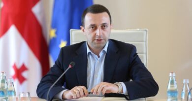 Премьер-министр Грузии встретился с Илией Вторым