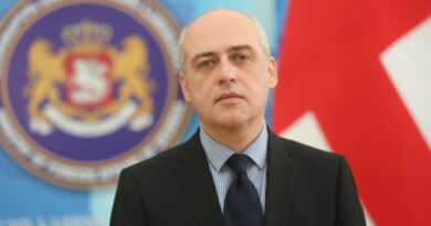 Глава МИД Грузии озвучил инициативу о снижении проходного барьера в парламент