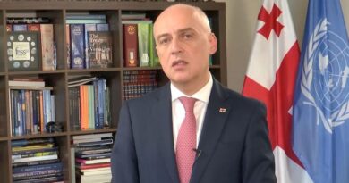 Глава МИД Грузии: заявление главы СВР России это классический пример гибридной войны