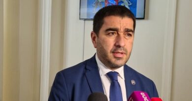 «Грузинская мечта» представила проект реформы избирательной системы